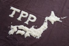 Aussenhandel-TPP